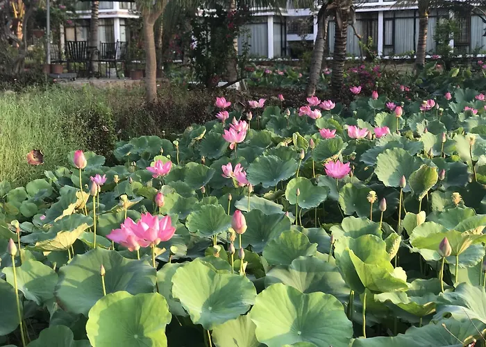 Fiore Healthy Phan Thiết